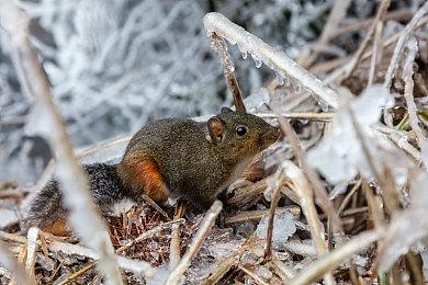 《FIFA 22》将让生涯模式创造俱乐部回归