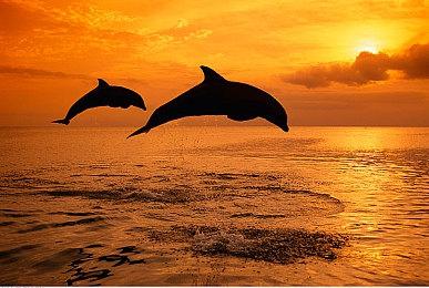 《塞尔达传说：王国之泪》新情报 空岛上有神奇扭蛋机